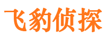 安宁市侦探调查公司